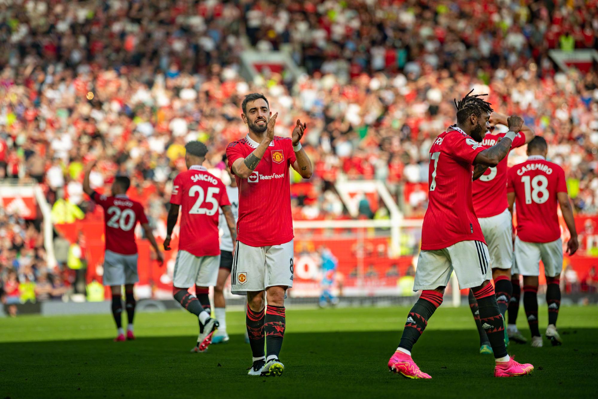 倾向于寻找 倾向于寻找